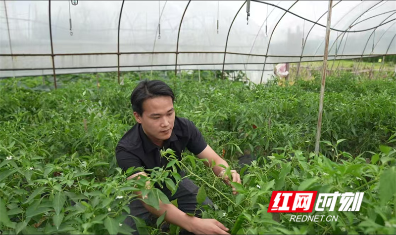 微信图片_202507211151391.jpg 微信图片_202507211151391.jpg