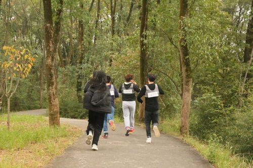 8C5D8954C38682C3E4696213199D4E1F_750_750 8C5D8954C38682C3E4696213199D4E1F_750_750